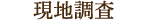 現地調査